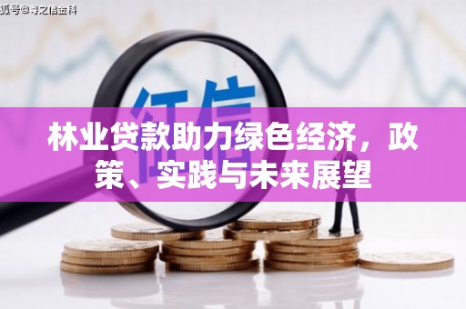 平南林业贷款助力绿色经济，政策、实践与未来展望