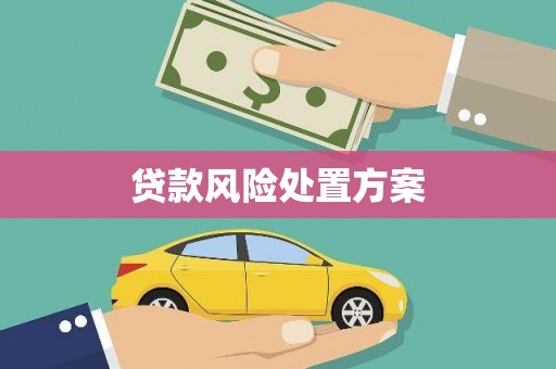 平南贷款风险处置方案