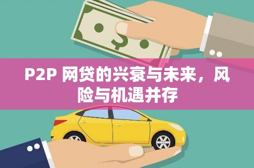 平南P2P 网贷的兴衰与未来，风险与机遇并存