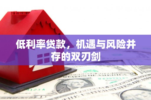 平南低利率贷款，机遇与风险并存的双刃剑