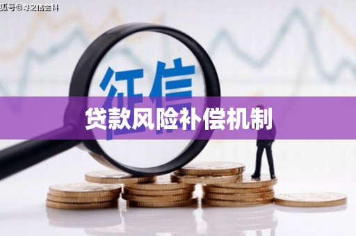 平南贷款风险补偿机制
