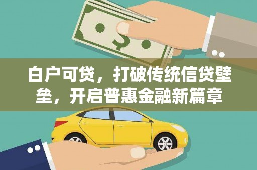 平南白户可贷，打破传统信贷壁垒，开启普惠金融新篇章