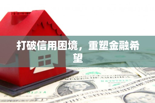 平南打破信用困境，重塑金融希望