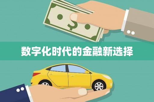 平南数字化时代的金融新选择