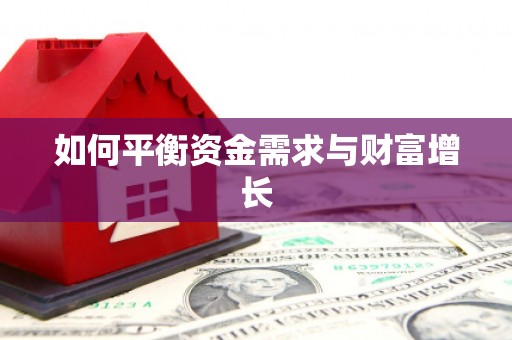 平南如何平衡资金需求与财富增长