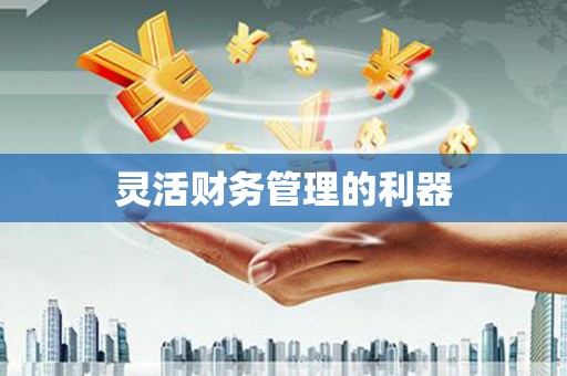 平南灵活财务管理的利器