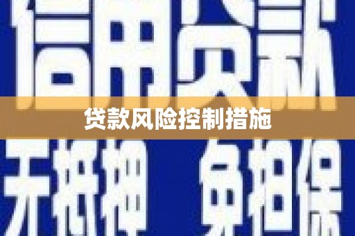 平南贷款风险控制措施
