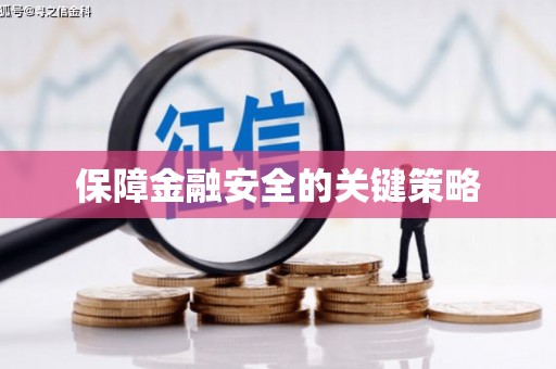 平南保障金融安全的关键策略