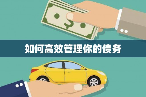 平南如何高效管理你的债务