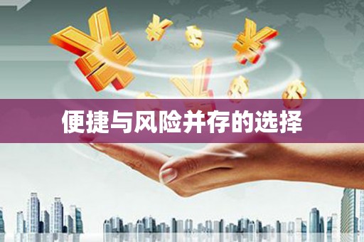 平南便捷与风险并存的选择