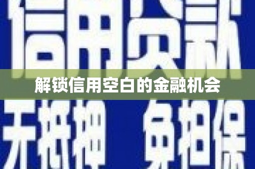 平南解锁信用空白的金融机会