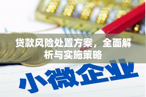 平南贷款风险处置方案，全面解析与实施策略