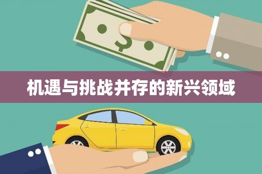 平南机遇与挑战并存的新兴领域