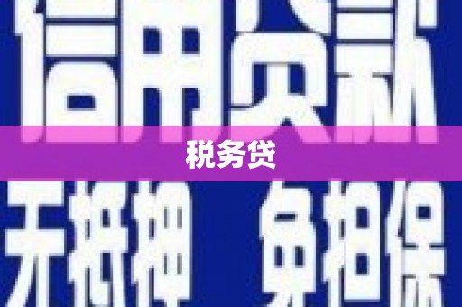 平南税务贷