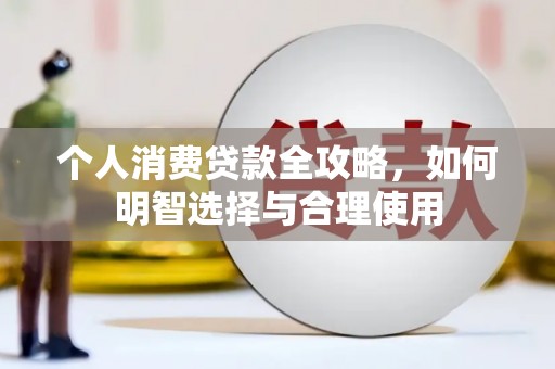 平南个人消费贷款全攻略，如何明智选择与合理使用