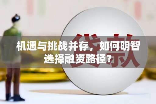 平南机遇与挑战并存，如何明智选择融资路径？