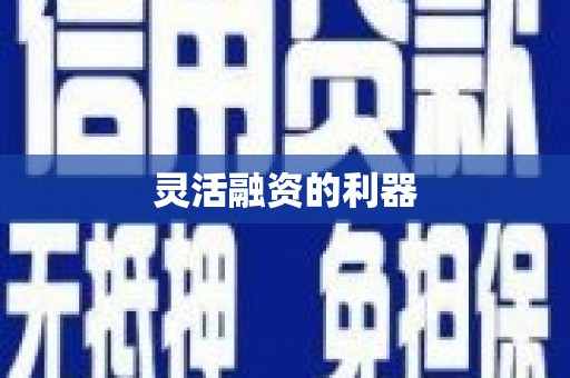 平南灵活融资的利器