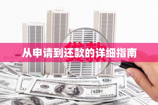 平南从申请到还款的详细指南