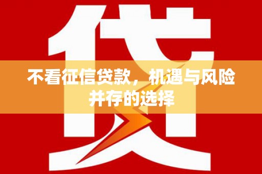 平南不看征信贷款，机遇与风险并存的选择