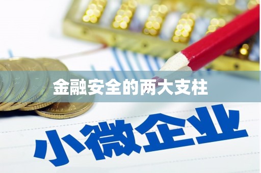 平南金融安全的两大支柱