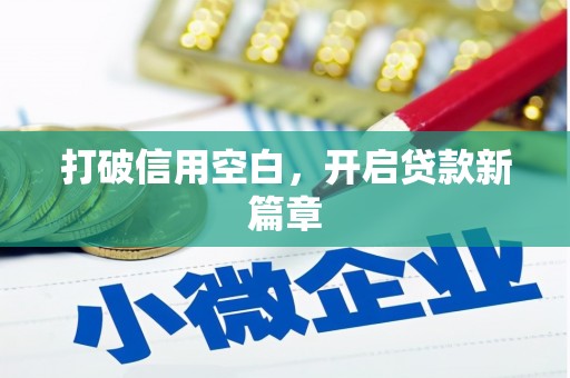平南打破信用空白，开启贷款新篇章