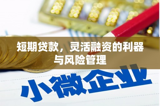 平南短期贷款，灵活融资的利器与风险管理