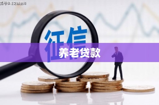 平南养老贷款