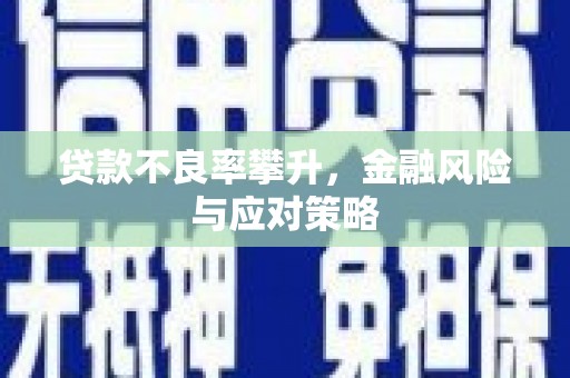 平南贷款不良率攀升，金融风险与应对策略