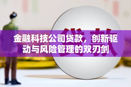 平南金融科技公司贷款，创新驱动与风险管理的双刃剑