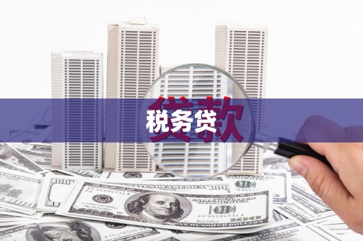 平南税务贷